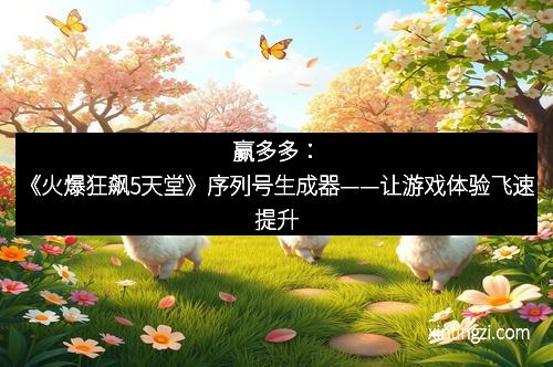 赢多多：《火爆狂飙5天堂》序列号生成器——让游戏体验飞速提升